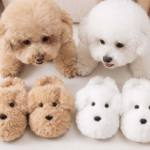 Bichroo CozyFur™ Slipper